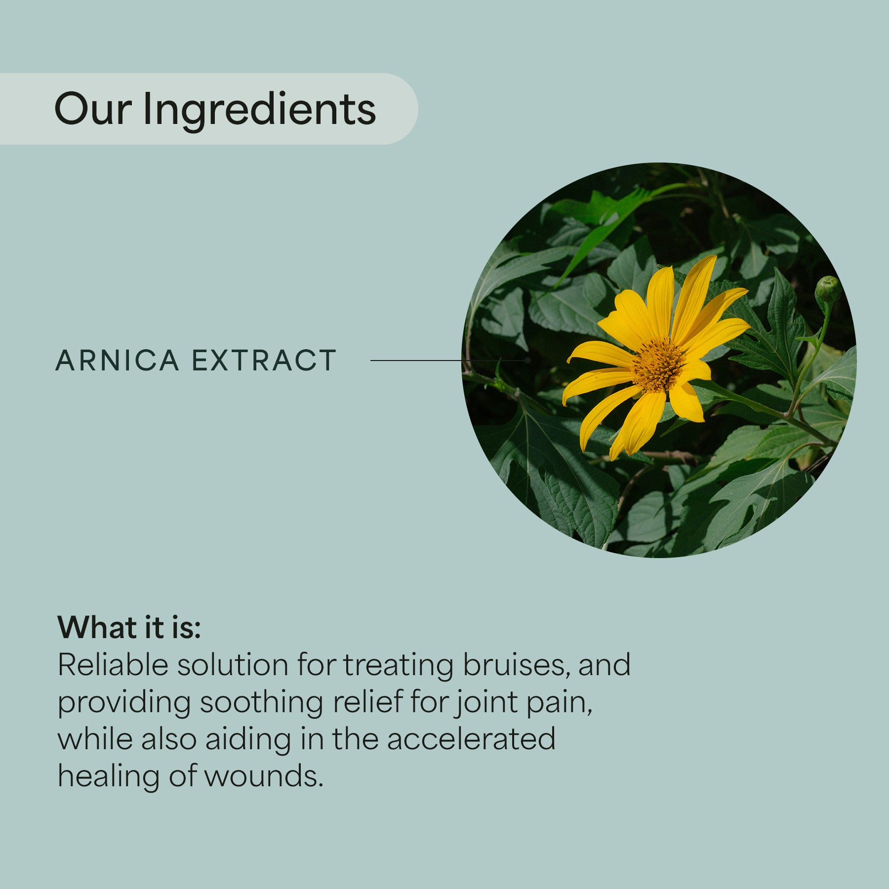 New Recovery Roll-On (CBD + CBG) 2oz