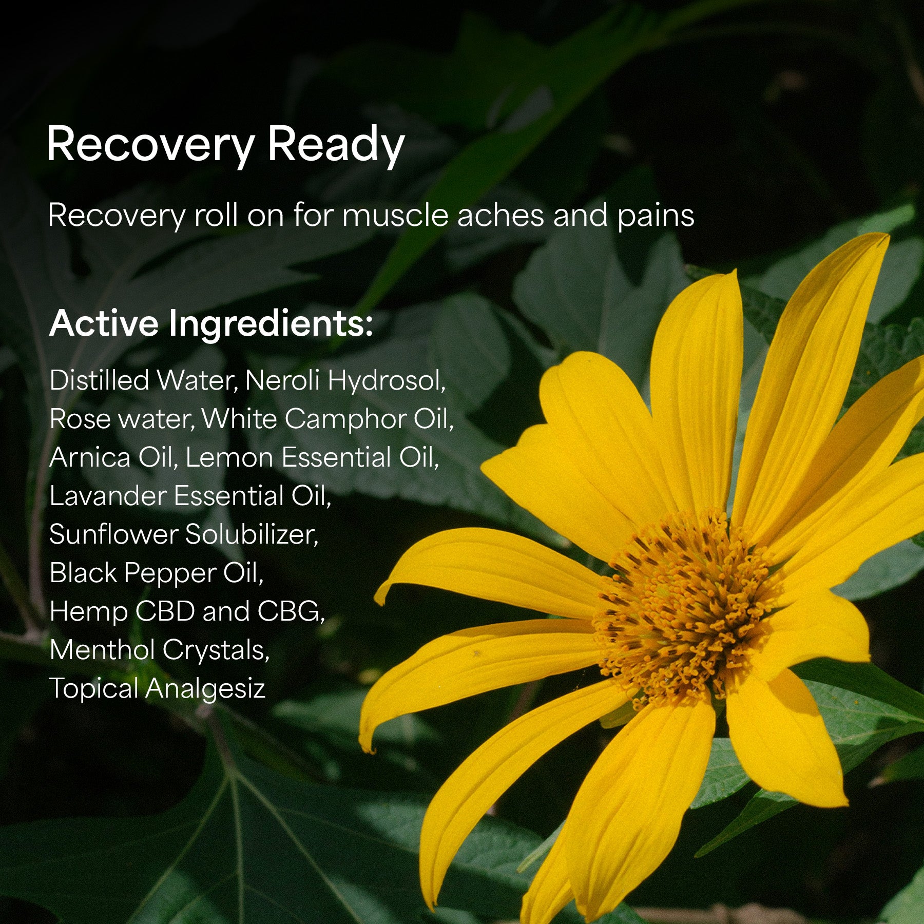 New Recovery Roll-On (CBD + CBG) 2oz